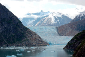 ACL-Sawyer Glacier, Tracy Arm, Alaska