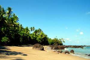 Corcovado National Park, Costa Rica