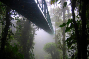 Monteverde Cloud Forest, Costa Rica