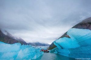 LEX-Dawes Glacier in Endicott Arm, Inside Passage, Alaska