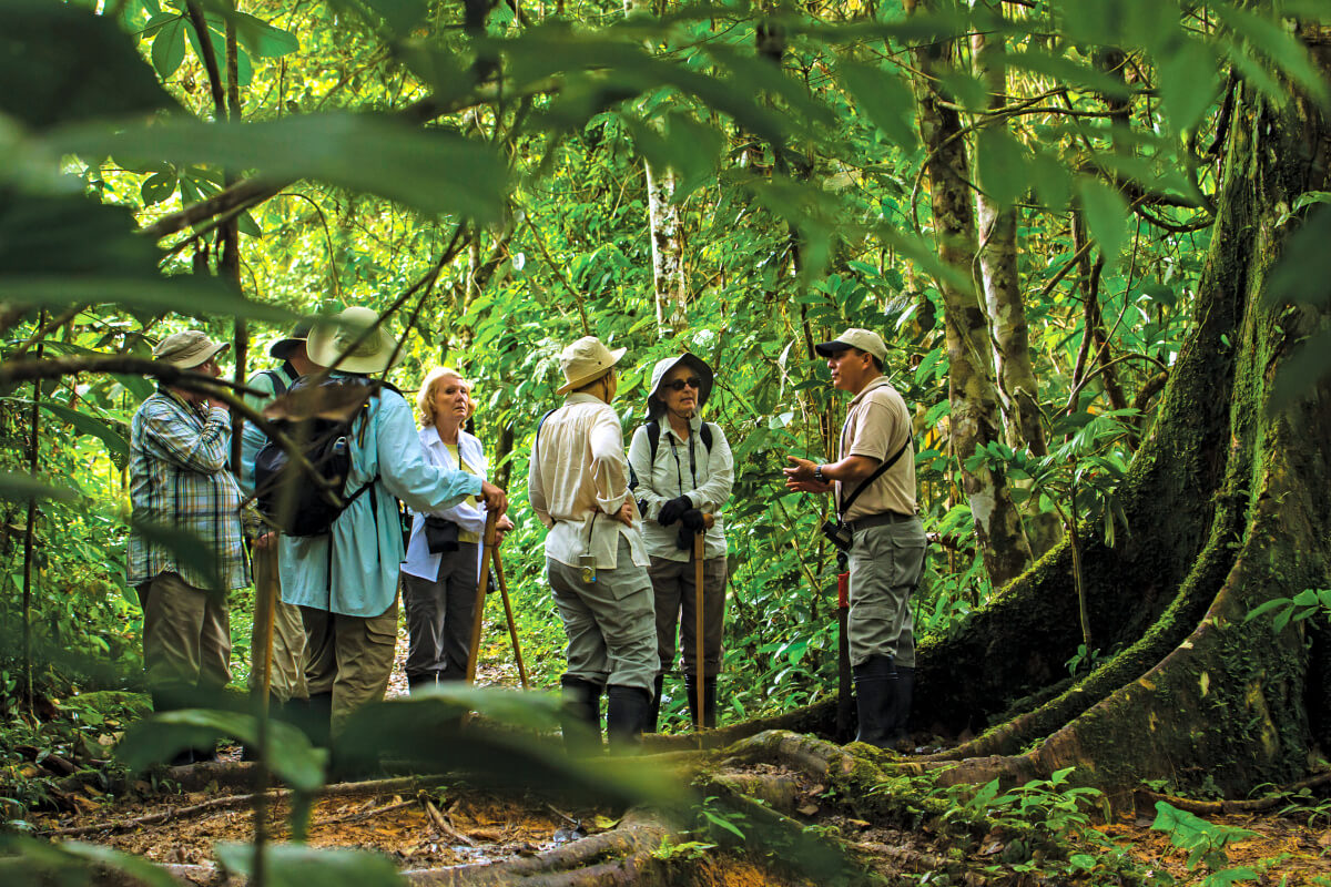 Cruise guests on a Amazon Rainforest hike with a guide