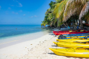 A beach with kayaks lined up near the Belize Barrier Reef