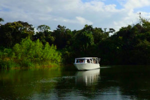 A pange with guests on the Monkey River, Belize