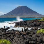 Coastline of Fernandina Island with an inactive volcano in the distance