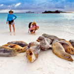 Viewing sea lions on the beach on the Galapagos Islands