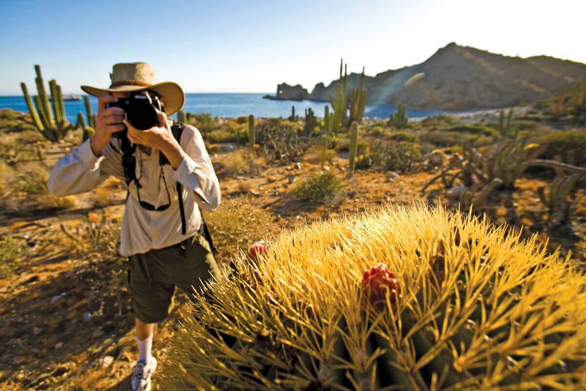 Photographer and giant barrell cactus, Elephant Rock Bay, Santa Catalina Island, Sea of Cortez, Baja California, Mexico