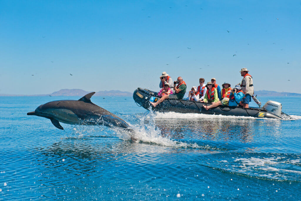 Baja California aboard the National Geographic Sea Bird