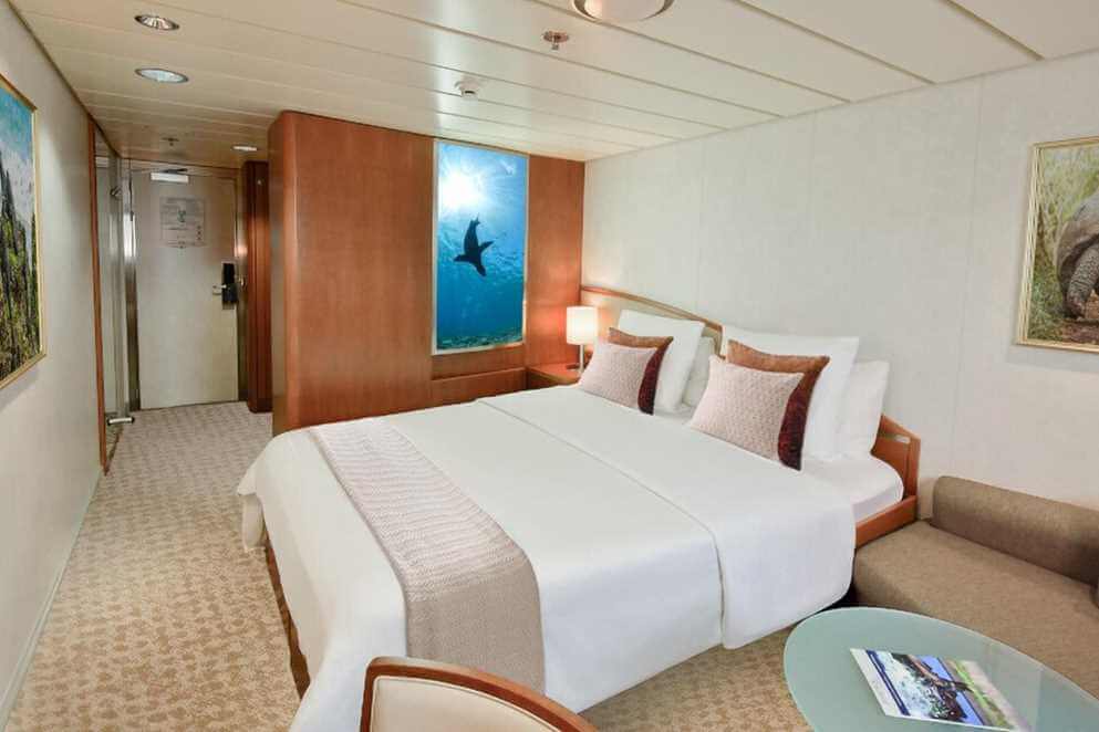 Category 2 cabin aboard National Geographic Gemini