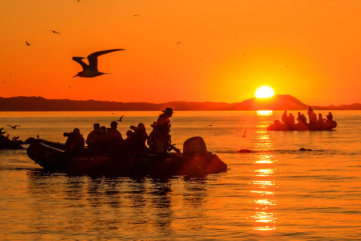 Cruise guests in inflatable zodiacs exploring along the coast as the sun sets in the background.