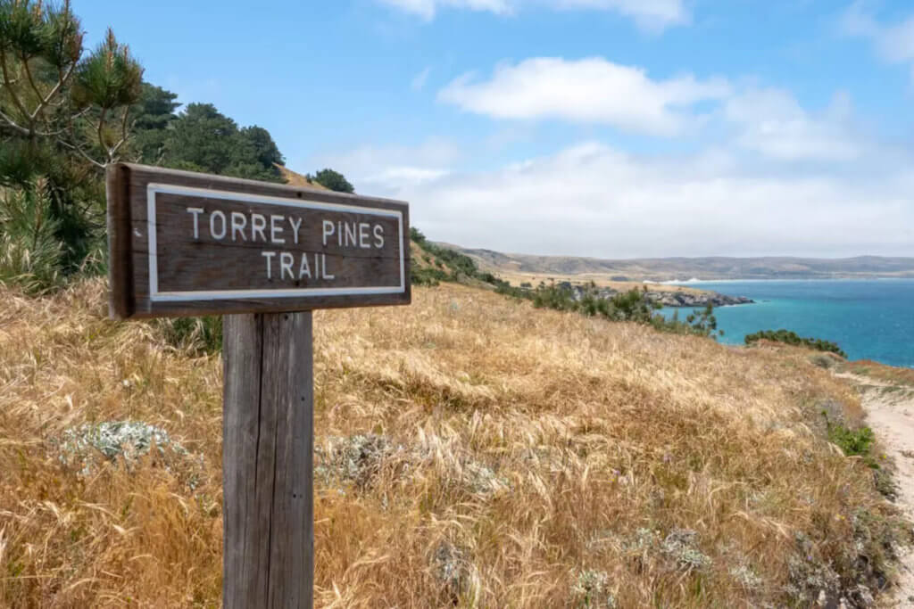 Torry Pines hike, near Ranch at Bechers Bay Pier on a sunny spring day, Santa Rosa Island