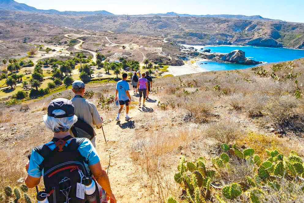 Cruise guests on a hike along a desert landscape