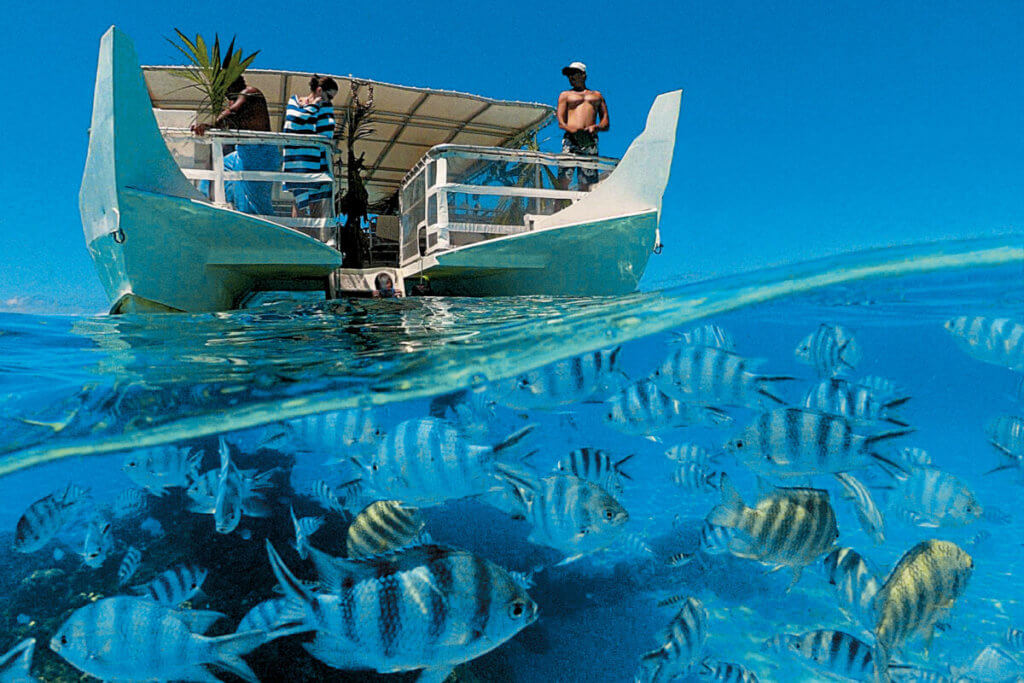 A catamaran anchored above a school of colorful fish in Bora Bora