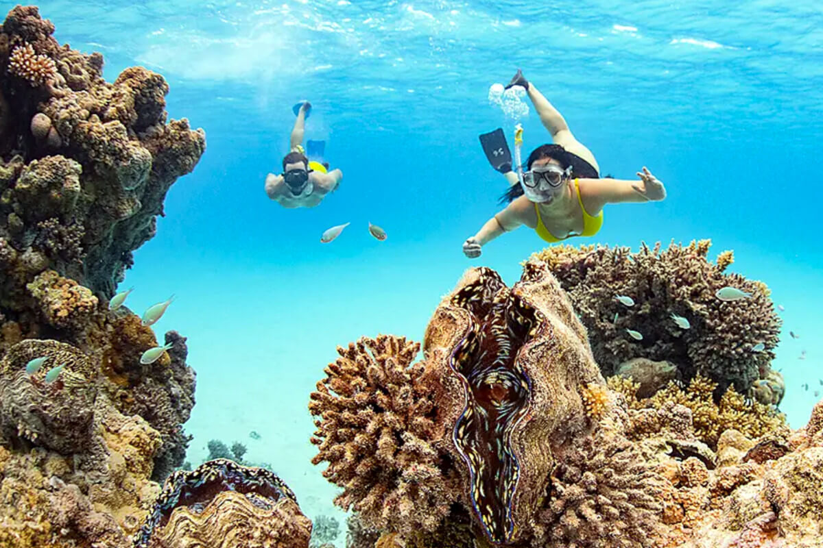 A couple of cruise guests snorkeling in the waters of the Society Islands