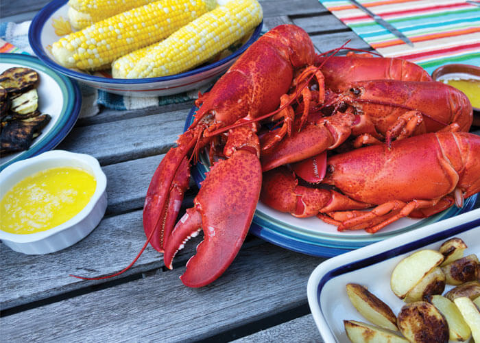 Lobster on a table with drawn butter and corn on the cob