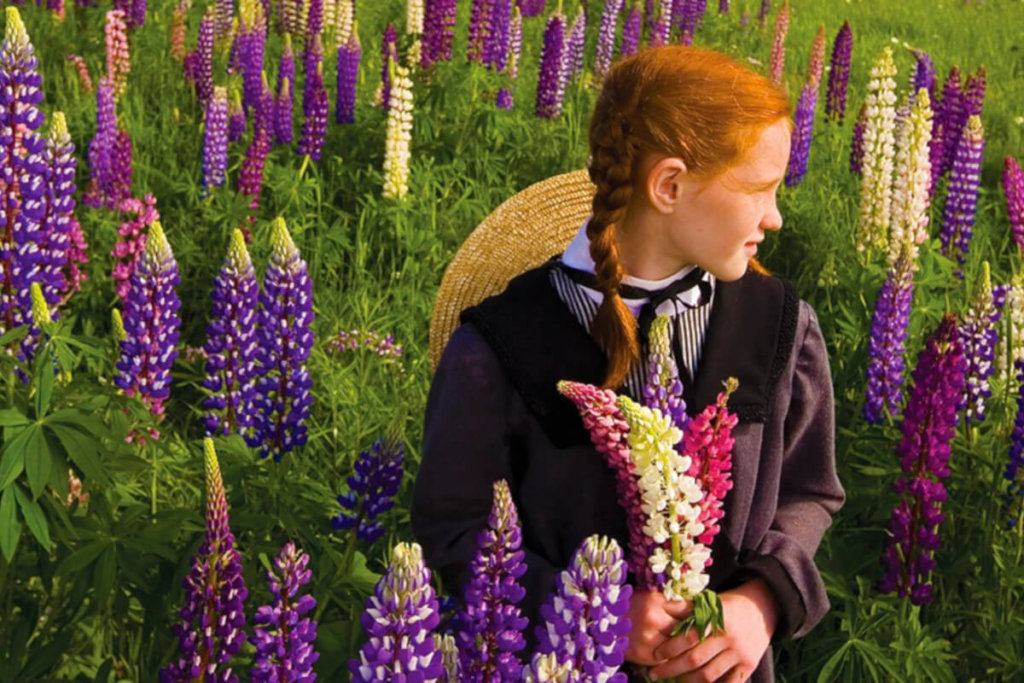 Red headed girl in field with lupines in Charlottetown, Prince Edward Island