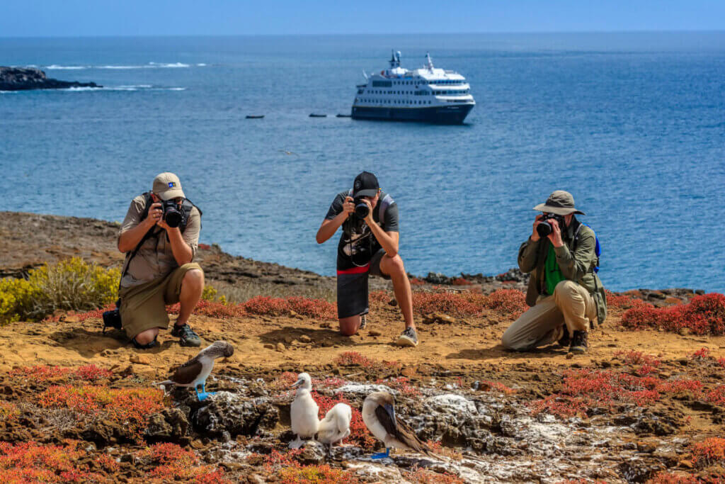 Cruise guests photographing blue-footed boobies with the ship in the background