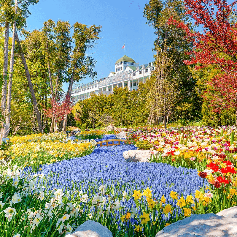 The Grand Hotel frames by colorful spring flowers and trees