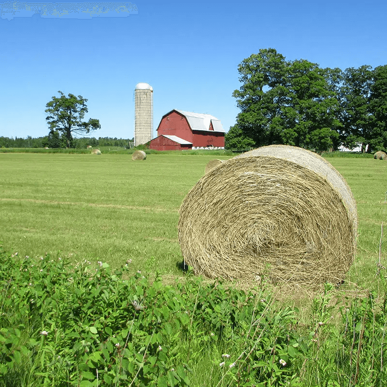 A roll of hay in a farm field in Escanaba, Michigan