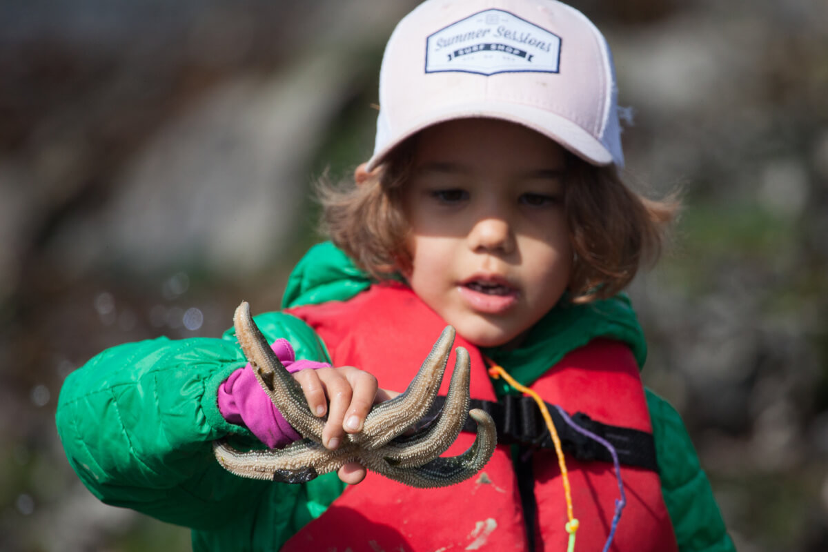 A children holding a starfish.