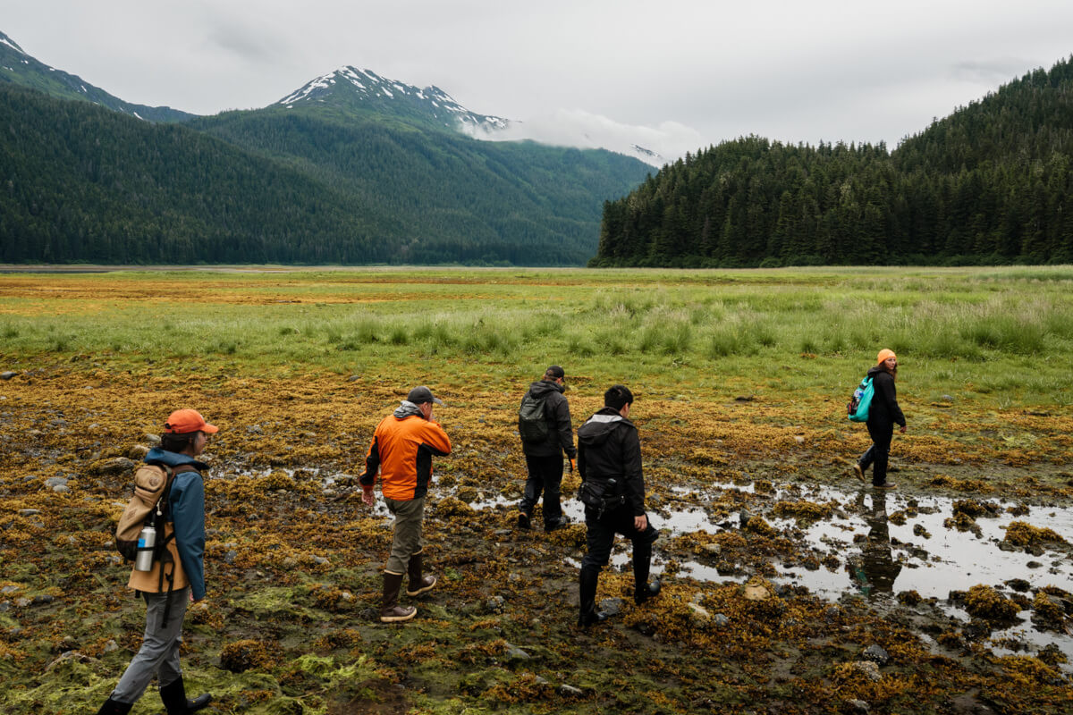 Guests hiking in an Alaskan fjord