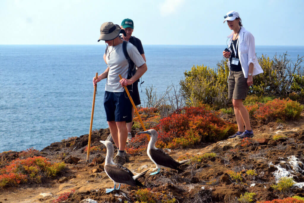 Guests hiking near Blue Footed Boobies