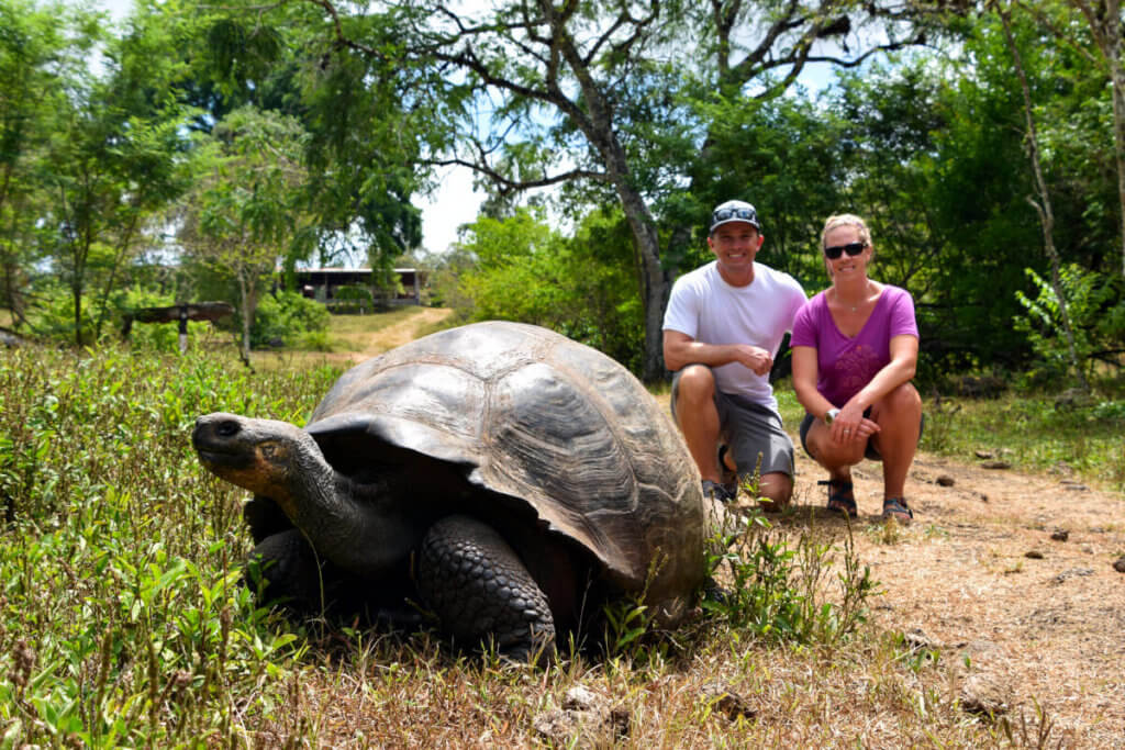 Guests spot a giant tortoise in the Galapagos
