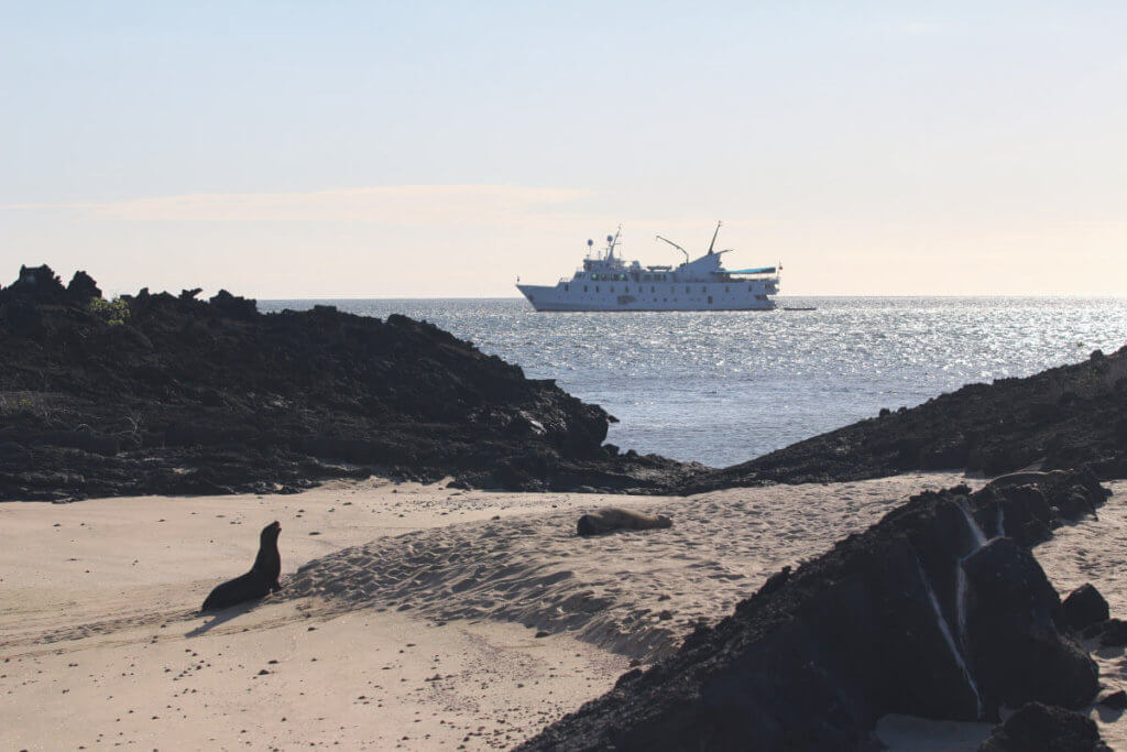 La Pinta with Sea Lions on Beach on the Galapagos