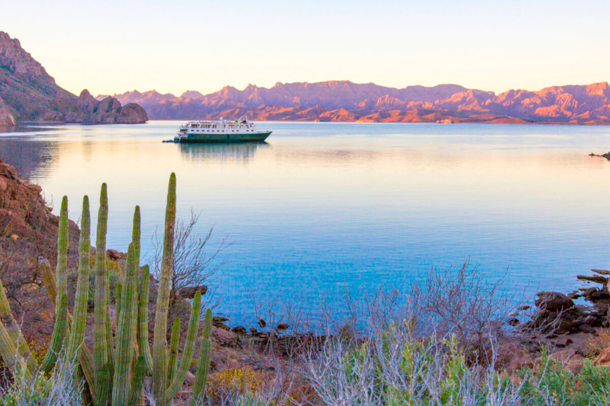 Expedition ship in calm waters at sunset with desert cacti and mountains.
