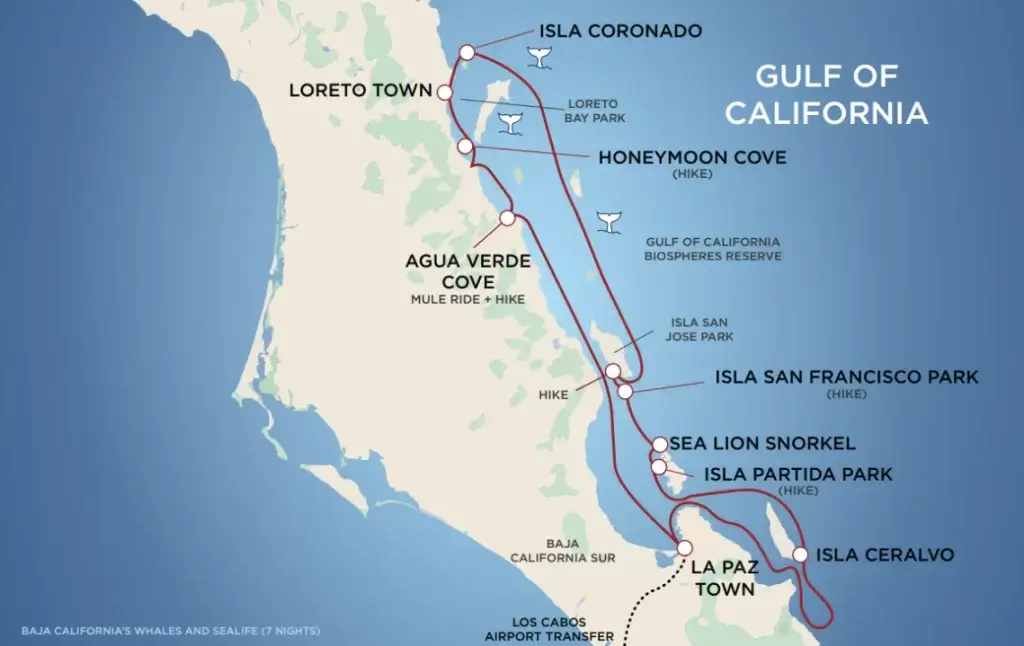 Baja California's Whales & Sealife itinerary map