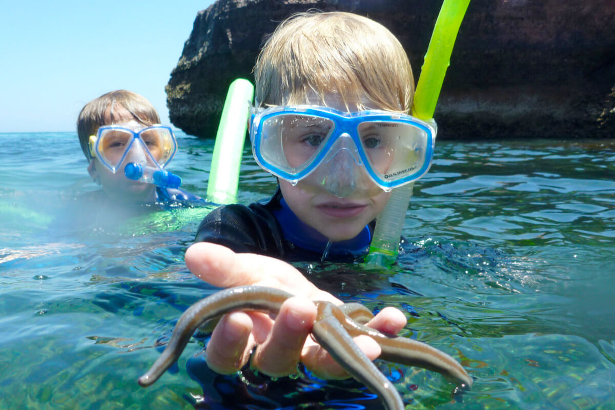 Two boys snorkling, with one boy in the forefront holding a starfish
