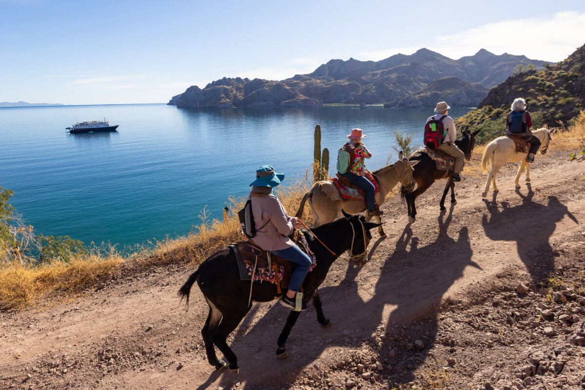 Cruise guests riding donkeys on a incline path as the Safari Voyager sites anchors in a bay