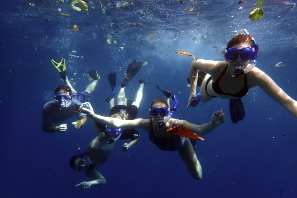 Family group snorkeling in Hawaii