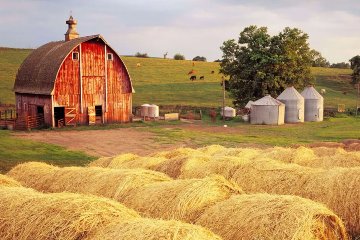 A red barn with golden rolled hay bails