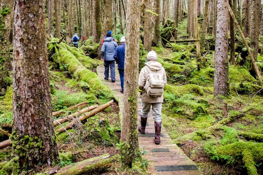 Cruise guests follow a trail through deep, vertically-walled gorges and lush patches of cedar, spruce and alder.