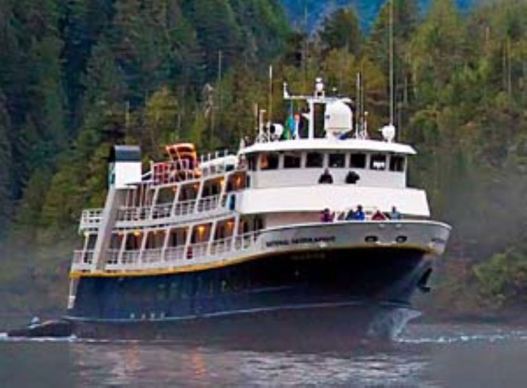 National Geographic Sea Lion - Exploring Alaska's Coastal Wilderness