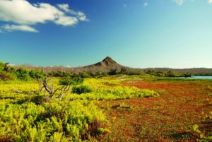 Cerro Dragon, Galapagos Islands